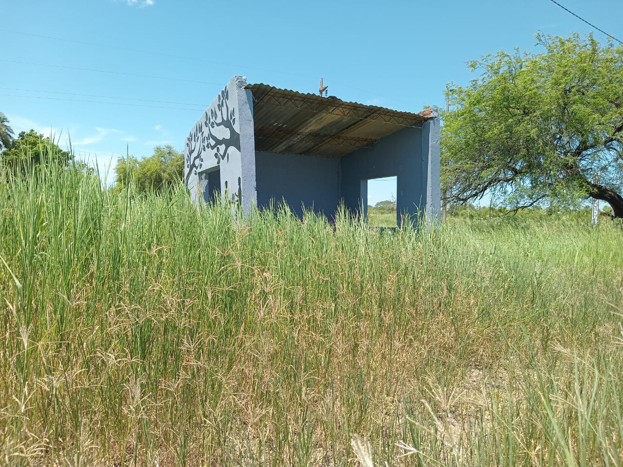 El Espinillo : Vecinos de la jurisdicción reclaman por la falta de limpieza y el avance del yuyal en las garitas