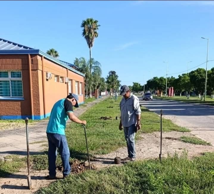 Avanza el plan de arborización en distintos barrios de Misión Tacaaglé