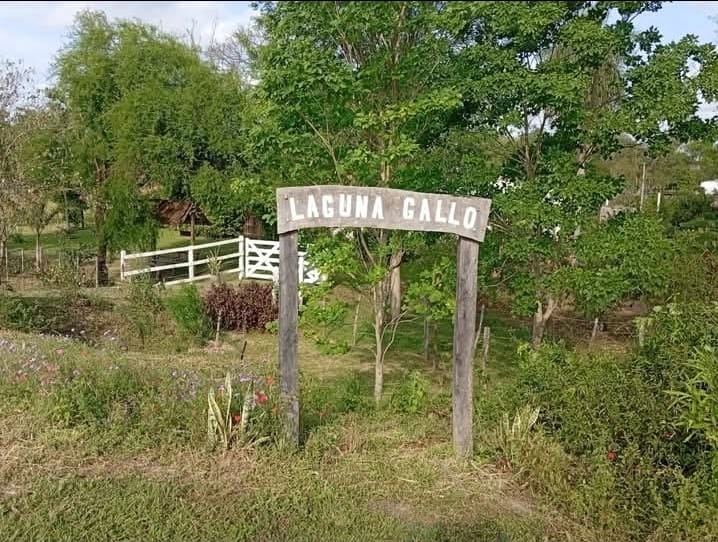 Laguna Gallo y su escuela: una historia de esfuerzo, educación y progreso
