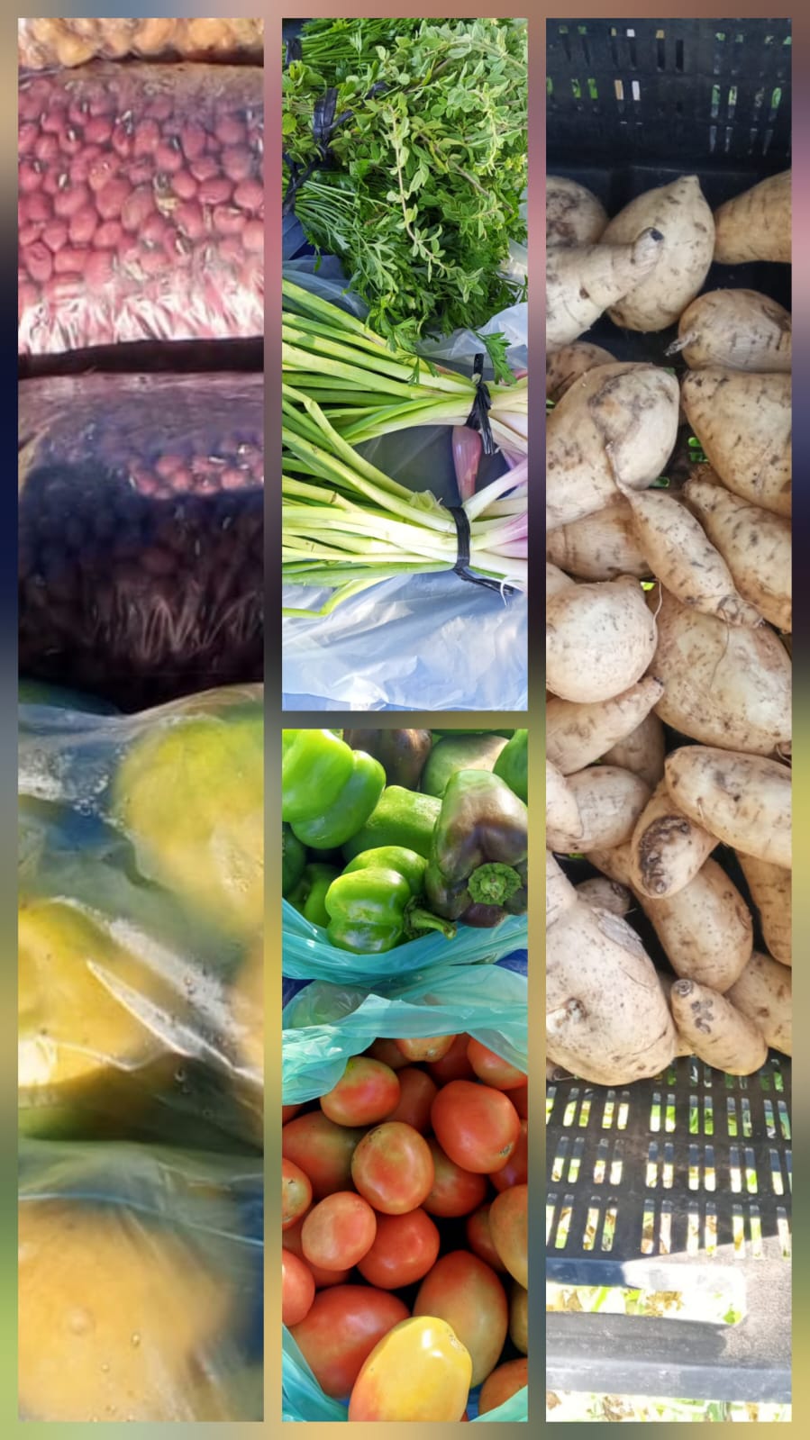 La Feria Paippera fortalece al productor local en Misión Tacaaglé