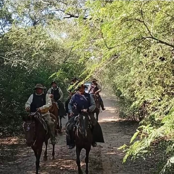 Detienen a un joven y recuperan animales en un caso de abigeato en Gral. Güemes