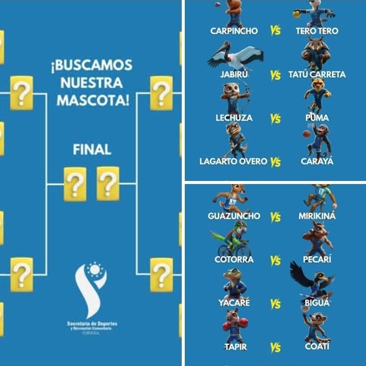 Comienza el Campeonato para elegir la Mascota del Deporte Formoseño