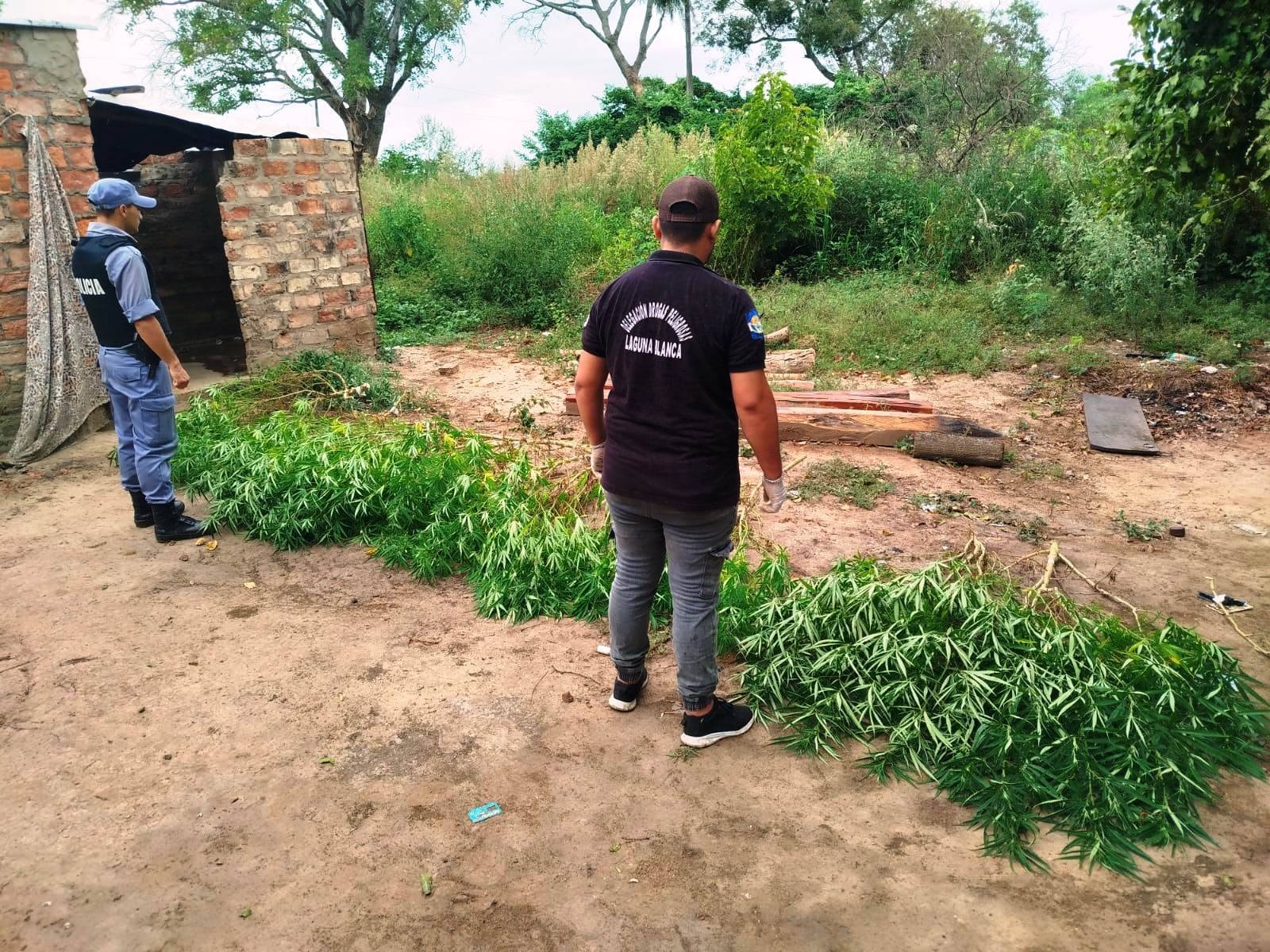 El Espinillo :LUCHA CONTRA EL NARCOCRIMEN