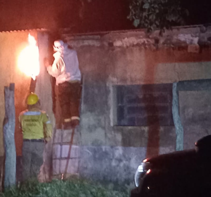 Operativo de Bomberos en la EPEP N°118: rápida respuesta ante la presencia de abejas