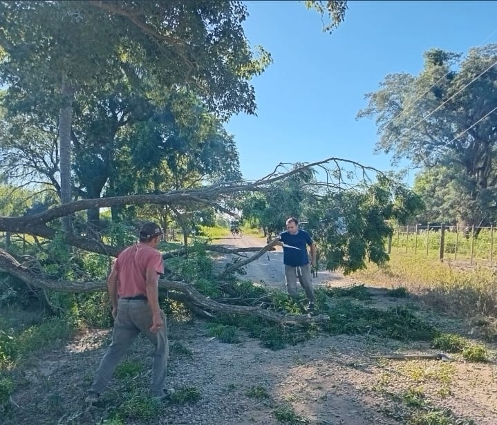 Vecinos de Apayerey realizaron poda comunitaria para despejar una calle obstruida