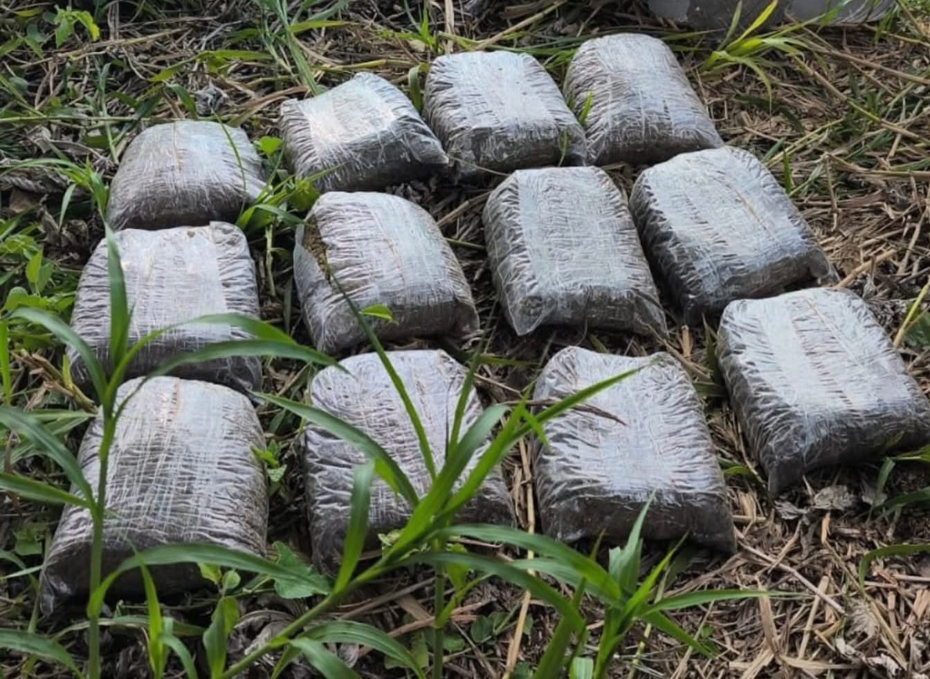 SECUESTRARON 15 KILOS DE MARIHUANA VALUADOS EN MÁS DE 53 MILLONES DE PESOS EN LUCIO V. MANSILLA