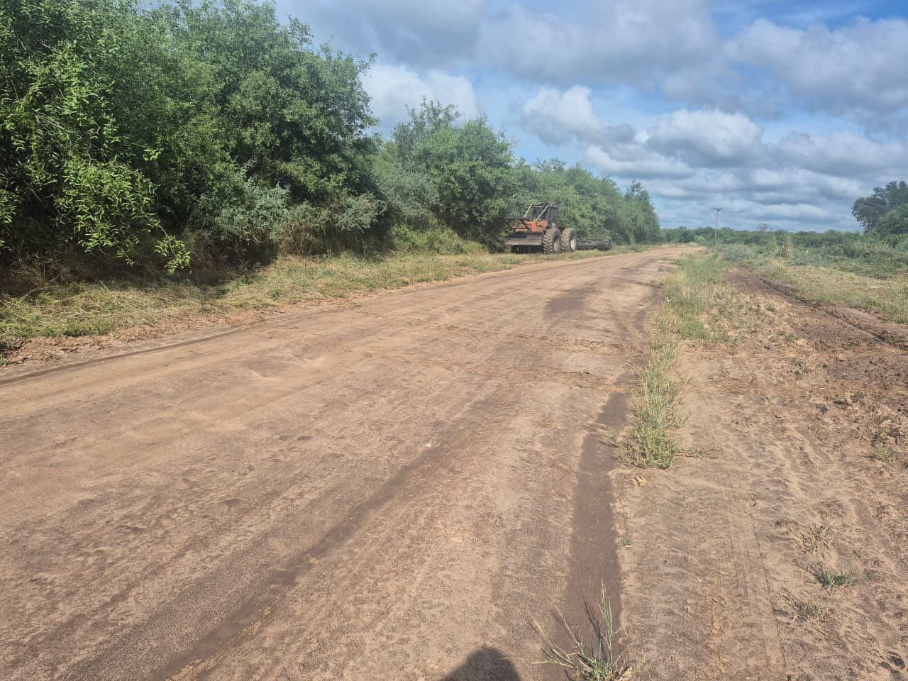 Limpieza integral en Colonia San Isidro: trabajo conjunto para una comunidad más ordenada