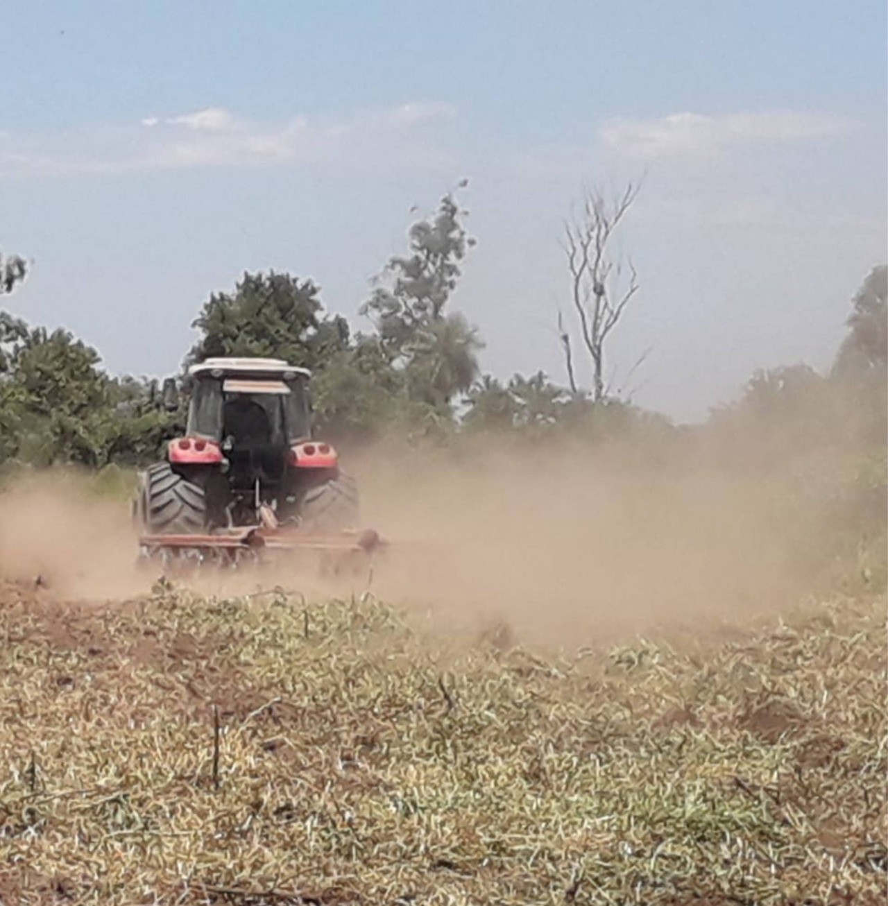 La Municipalidad de Misión Tacaaglé impulsa la preparación de suelo para autoconsumo en la Colonia Aborigen y Apayerey