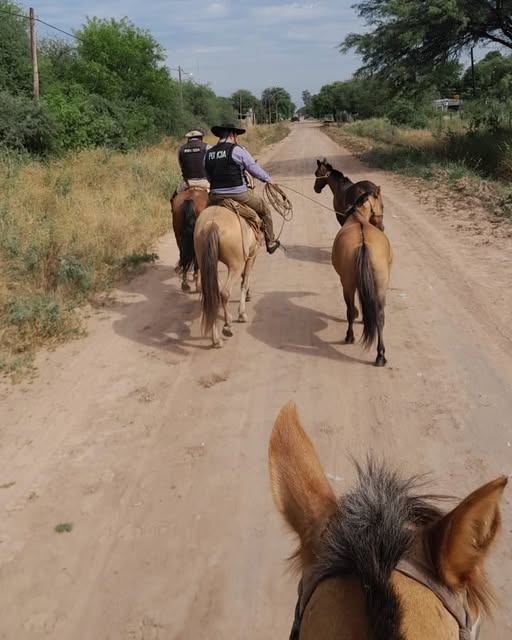 Retiran caballos sueltos de la ruta y advierten sobre el peligro para la seguridad vial