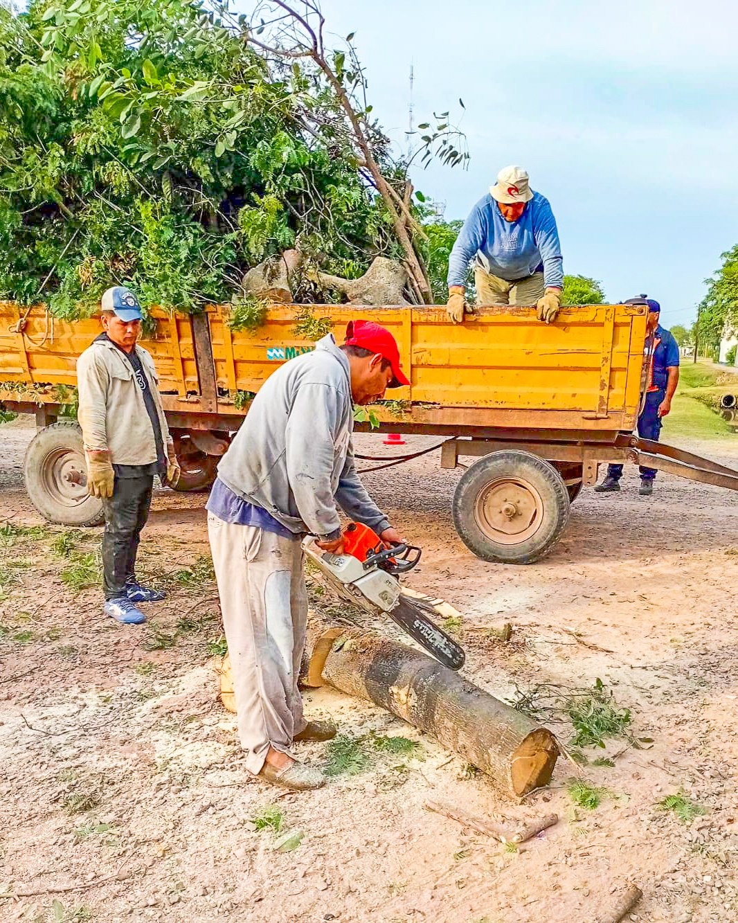 Pirané: el municipio realizó poda preventiva frente a la EPEP N°36 para garantizar mayor seguridad