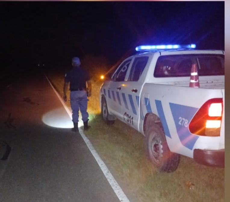 Formosa: detuvieron a un hombre y retuvieron a un adolescente por distintos delitos