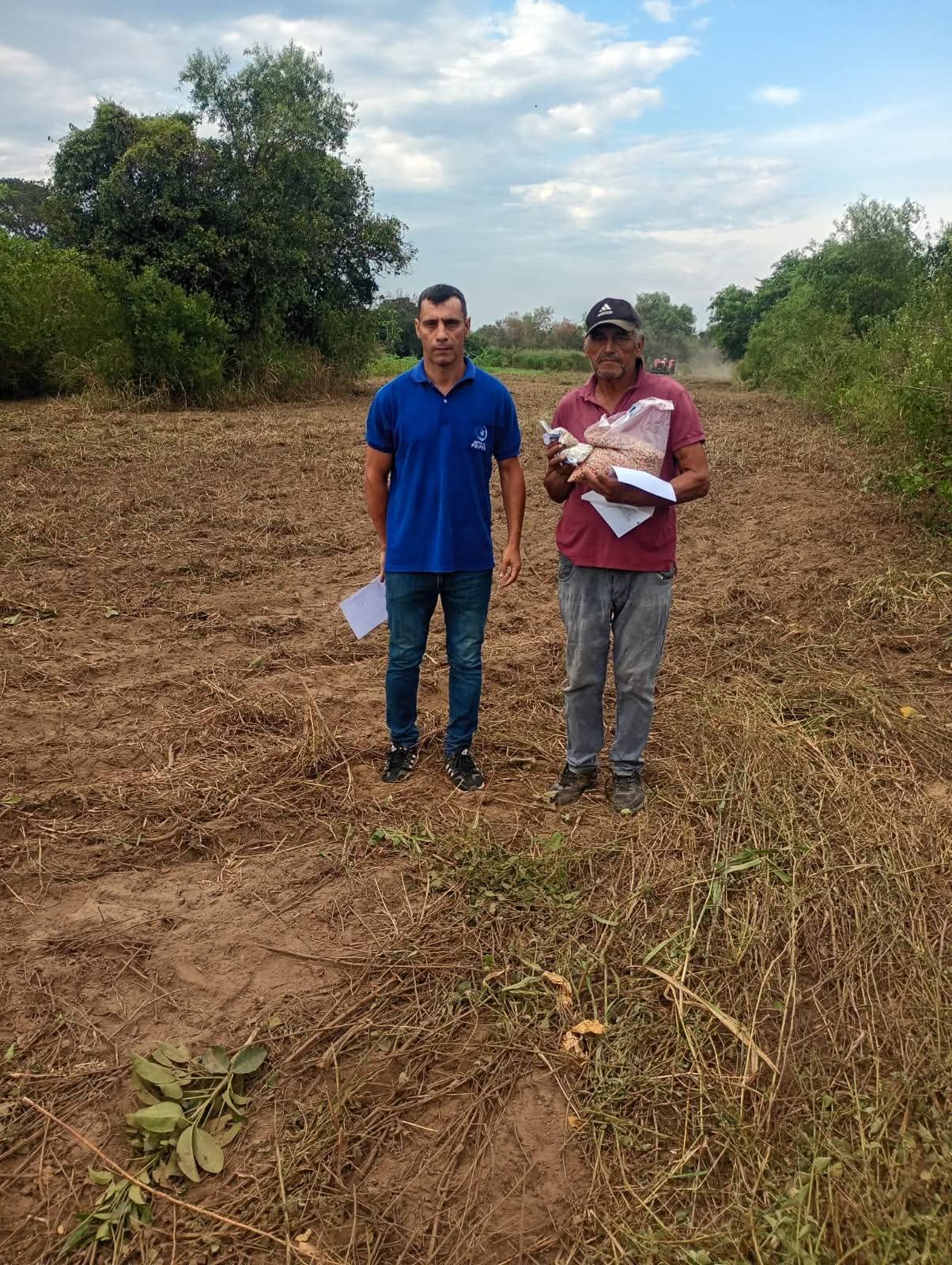 Laguna Blanca impulsa la producción: avanza la preparación de suelo para la siembra de segunda
