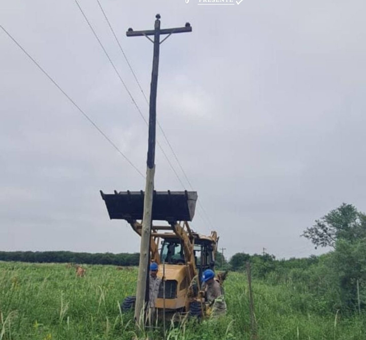 Trabajo conjunto en Misión Tacaaglé: el municipio y REFSA avanzan en la reparación de la red eléctrica