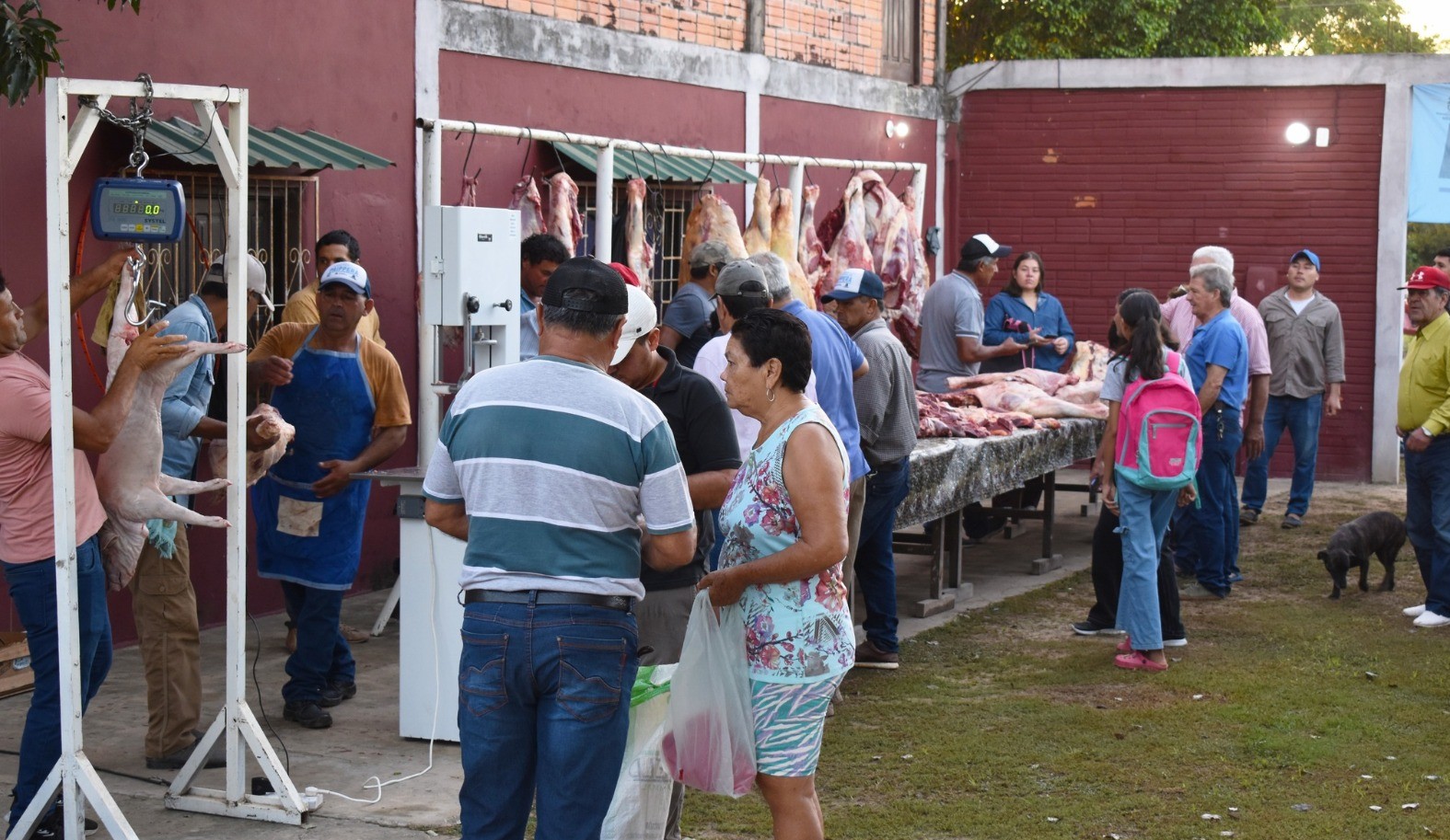 El Espinillo impulsa políticas productivas con fuerte respaldo al sector paippero