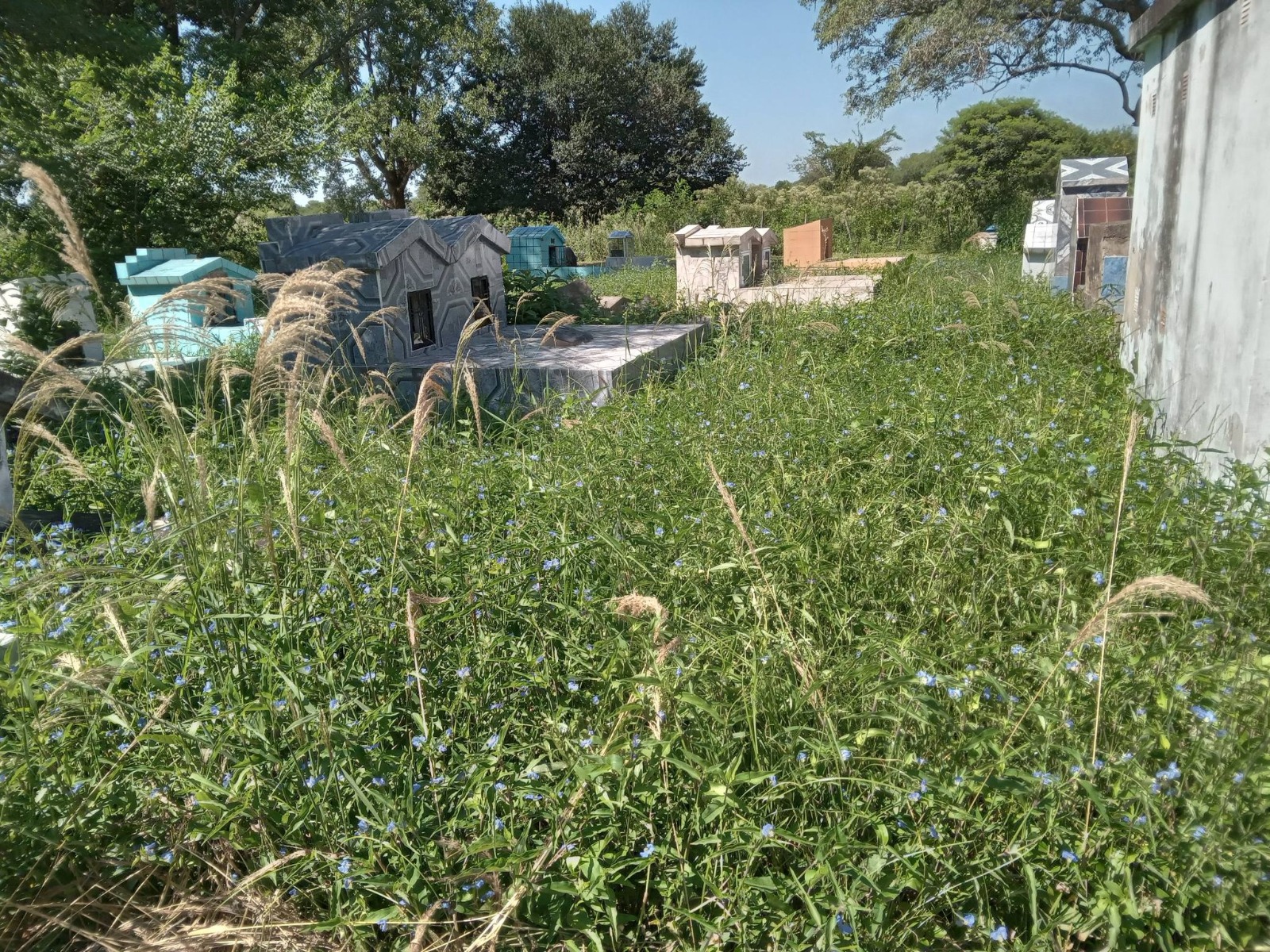 SEMANA SANTA CON INDIGNACIÓN: ABANDONO EN EL CEMENTERIO Y ESPACIOS PÚBLICOS DE APAYEREY