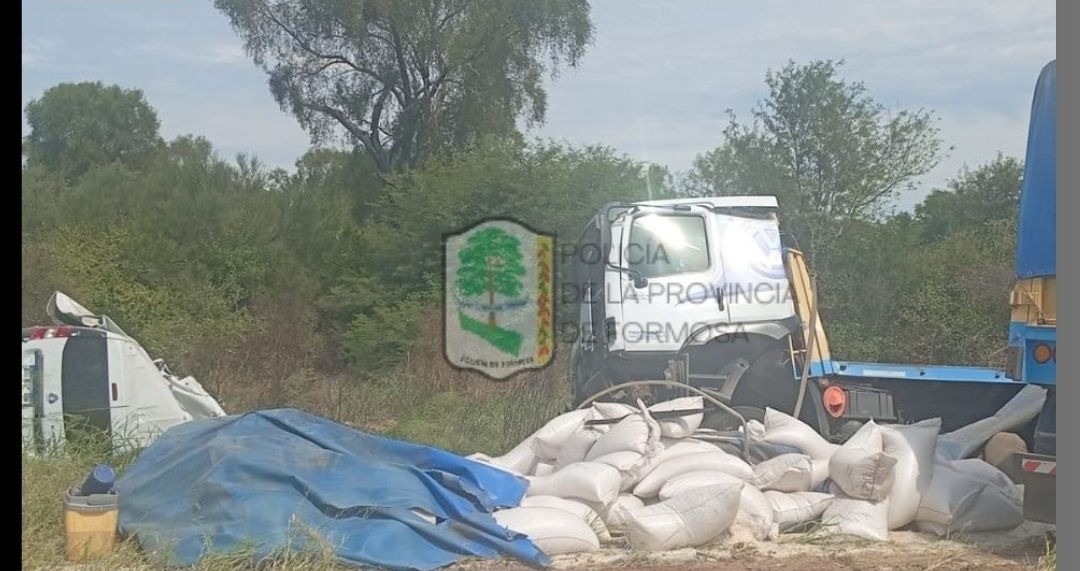 Tragedia vial en la Ruta 81: cuatro personas murieron tras chocar contra un camión