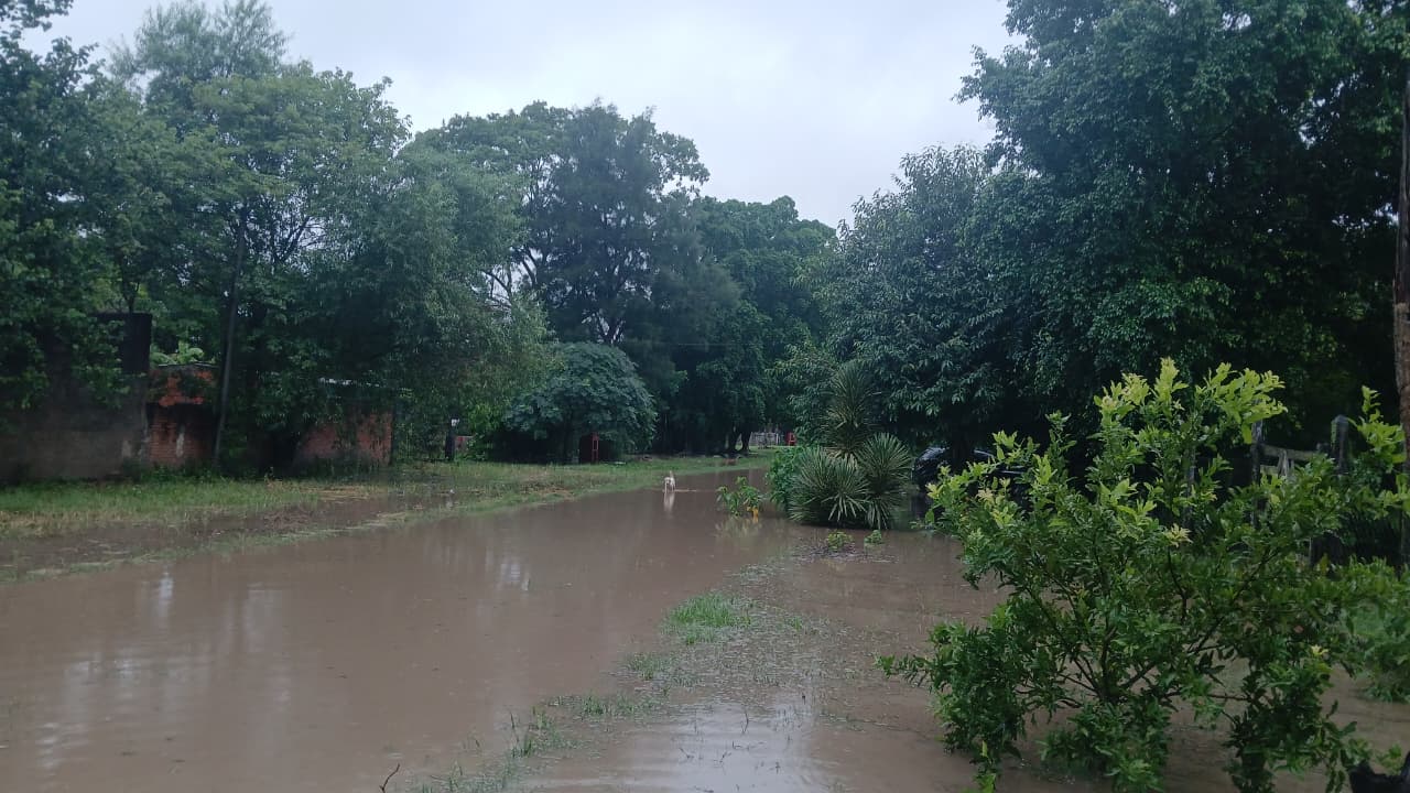 Persisten las lluvias en Portón Negro y se registra acumulación de agua en distintos sectores