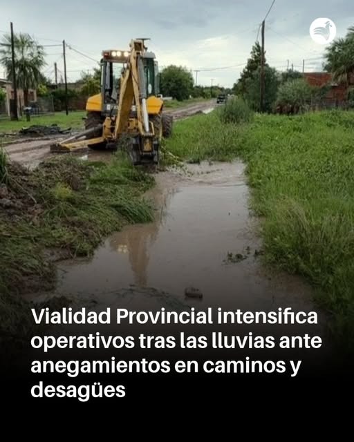 TEMPORAL DEL LUNES