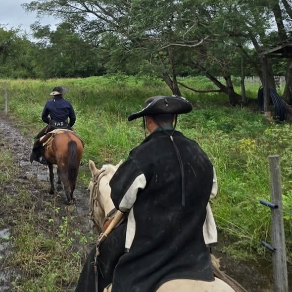PREVENCIÓN RURAL: DISMINUYE EL ABIGEATO Y AUMENTA LA RECUPERACIÓN DE GANADO EN FORMOSA
