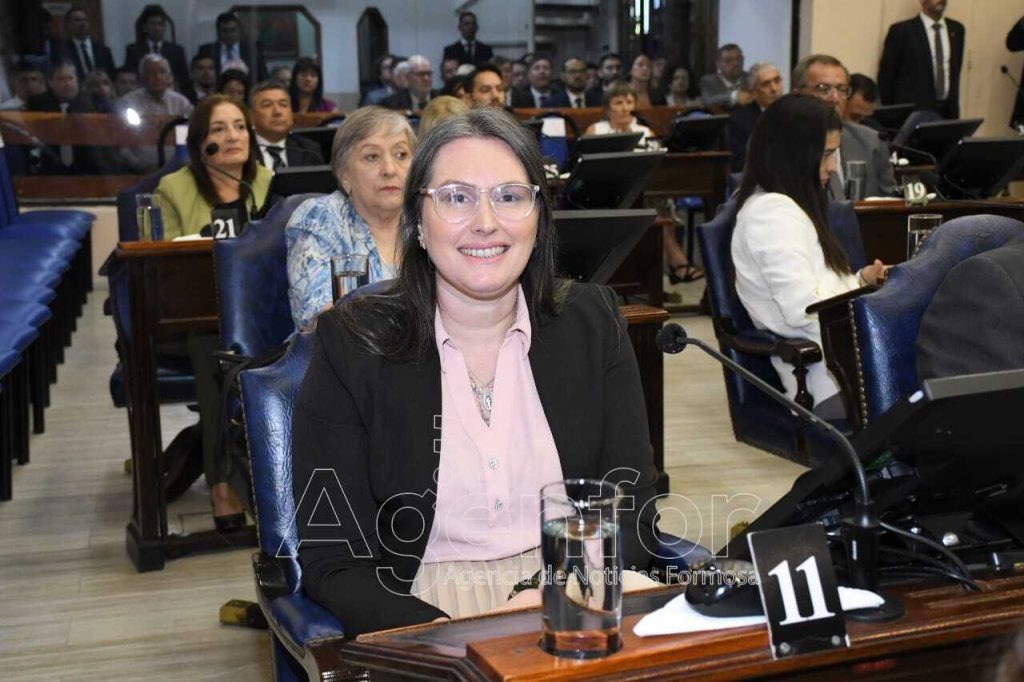 Villarruel: “El aumento de la energía eléctrica es una decisión política del Gobierno nacional”