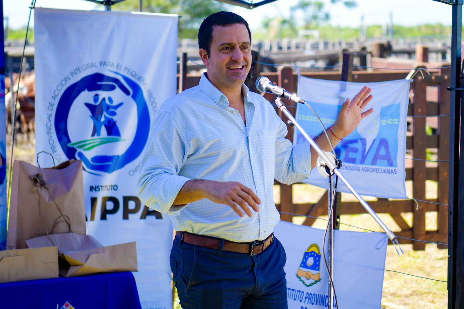 Fuerte impulso al sector ganadero en Laguna Blanca con el segundo remate de invernada provincial