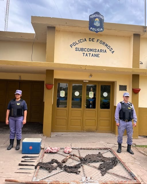 Detuvieron a un hombre por abigeato calificado y secuestraron carne vacuna, cuchillos y una camioneta en Tatané