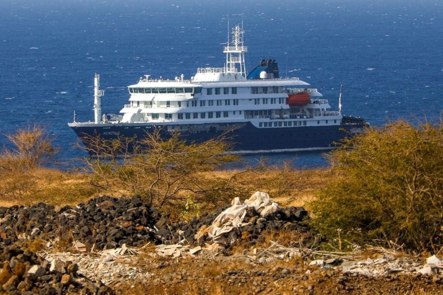 Los argentinos del crucero con hantavirus serán trasladados a Países Bajos para hacer cuarentena