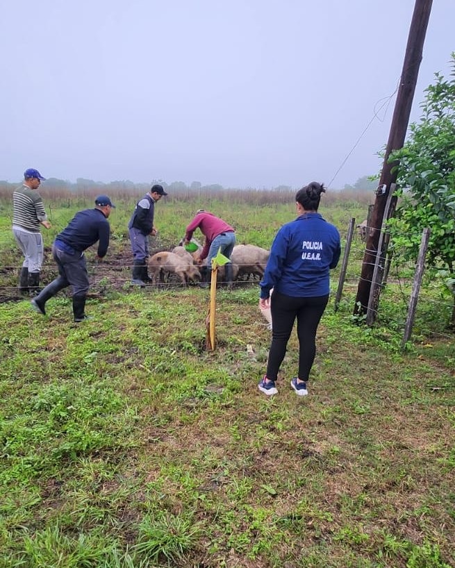 Loma Monte Lindo: detuvieron a dos hombres y recuperaron productos cárnicos sustraídos