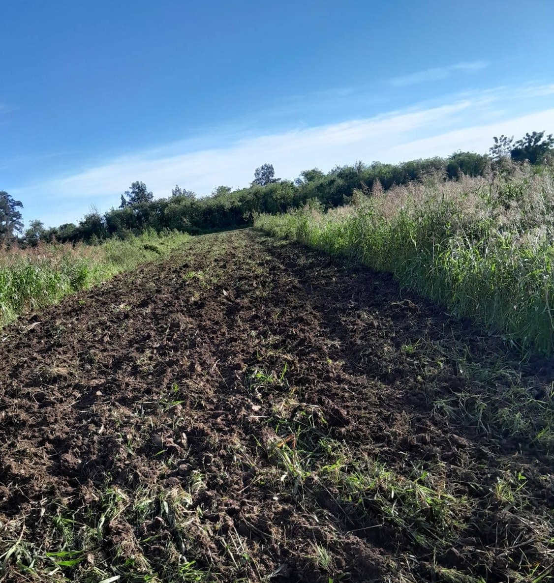 Riacho He Hé: el intendente Ramiro Figueroa y su equipo acompañan a pequeños productores con romeadas