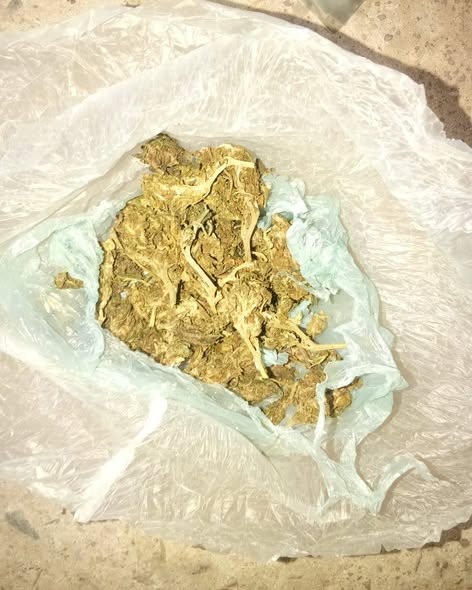 Aprehenden a un hombre con marihuana y recuperan una motocicleta robada en Palo Santo