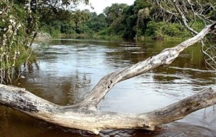 Desesperada búsqueda de un hombre desaparecido tras el vuelco de una canoa en Riacho He Hé