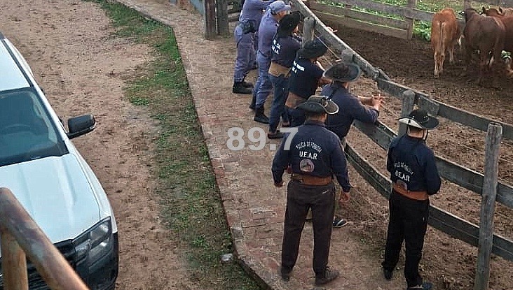 Comandante Fontana: detuvieron a un camionero por el uso irregular de un certificado durante el traslado de hacienda