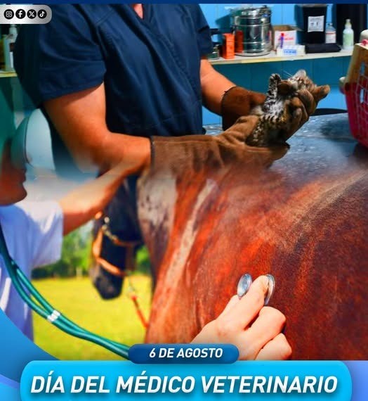 6 de agosto | Día del Médico Veterinario