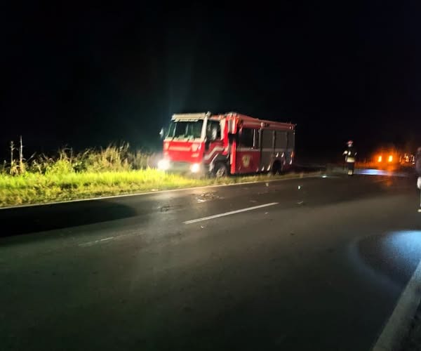 Trágico siniestro vial sobre la Ruta Nacional 81: un hombre perdió la vida tras chocar contra un animal vacuno